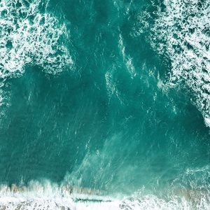 Meet your Posher, Danilo